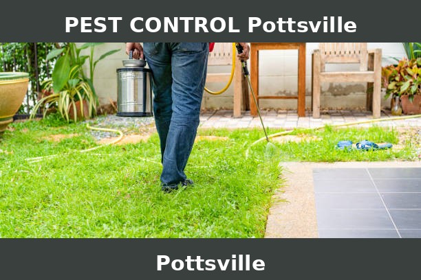 PEST CONTROL Pottsville